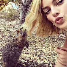 The Quokka Is A Cute Little Mammal Native To Rottnest Island A Small Island Just Off The Shore Of Perth Western Au Margot Robbie Actress Margot Robbie Margot