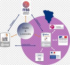 And i thought we made some adjustments, and i thought we did what we needed to do to win a basketball game. Federation Francaise De Basket Ball Basketball 3x3 Fiba Basketball Logo France Sports Png Pngwing