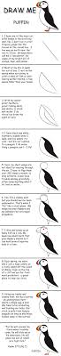 Draw And Learn Puffin Marty Nystrom Bird Drawings Draw Puffin If you are not lucky enough to see one in the wild you can still learn to draw a puffin yourself with our simple guide. draw and learn puffin marty nystrom