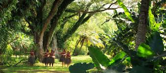 臨床研判確定罹患血小板低下症候群，可能與az疫苗接種有關係。 經過治療狀況已經穩定。 經專家研判是我國首例和疫苗相關的個案。 詳細確診個案表如下表： 新北已準備好施打疫苗! Fgw4kr7gqd3swm