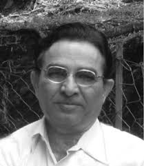 Fermentation Processes Engineering in the Food Industry