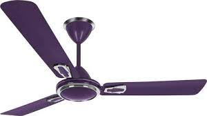 A low profile ceiling fan with lights is a fantastic addition to any home and indeed almost any room in the house. Utkal Purple And White Super Electrical Ceiling Fans Warranty 2 Year Rs 1200 Piece Id 21737563433