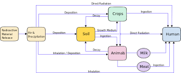 Argon is a noble gas, which means that it is nonreactive and would not be a part of the initial formation of any rocks or fossils. Environmental Radioactivity Wikipedia