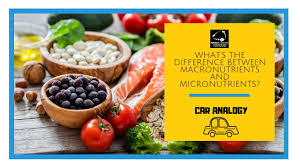 The term micronutrients refers to individual nutrients, such as specific vitamins and minerals. What S The Difference Between Macronutrients And Micronutrients
