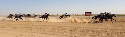 The birdsville races are horse races held each year in september in the queensland, australia, town of birdsville. 4 Day Birdsville Races Travel West