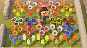 They will randomly generate throughout the town once a new save file is created. Animal Crossing New Horizons Flower Breeding Guide Keengamer
