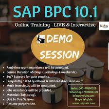 Sap Business Planning And Consolidation Work Experience Business Planning Online Training