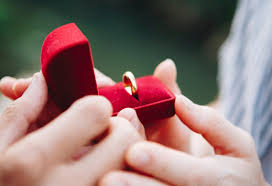 Accessori e mangimi per animali, blog di animali Brautkleider Herrenanzuge Und Eheringe Hochzeitshaus Saffran