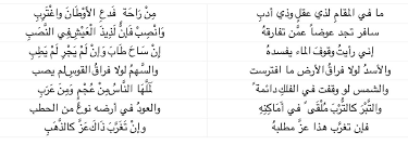 الامام الشافعي Arabic Poetry Math Quotes