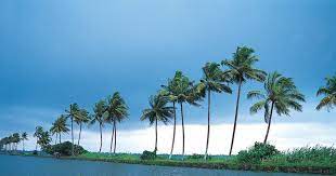 10 Kerala Nature Wallpaper Hd Such As This Photo Of Kerala Backwaters Kerala Hd Wallpapers Won Nature Wallpaper Nature Desktop Wallpaper Landscape Wallpaper