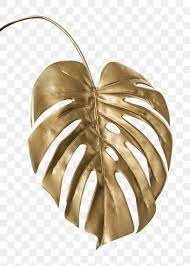 Shiny Golden Monstera Leaf Transparent Png Free Image By Rawpixel Com Teddy Rawpixel Monstera Leaf Gold Wallpaper Background Paper Background Texture