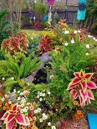 My Garden Back Garden Design Dream Garden Garden Design