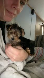 Potty training tips please!! We live in Northern California, so burnt grass  this time of year. Won't go