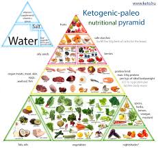 related image in 2019 keto food pyramid paleo nutrition