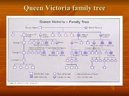 Haemophilia figured prominently in the history of european royalty in the 19th and 20th centuries. 4 Haemophilia And Royal Families