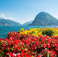 La svizzera è suddivisa in tre grandi regioni linguistiche e culturali: Living In Lugano Conservatorio Della Svizzera Italiana