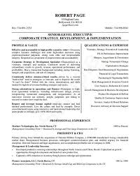 24 award winning ceo resume templates