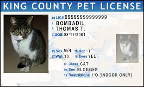 However, pet cats are subject to inspection at ports of entry and may be denied entry into the united states if they have evidence of an infectious disease that can be if a cat appears to be ill, further examination by a licensed veterinarian at the owner's expense might be required at the port of entry. Does Cat Licensing Work Poc