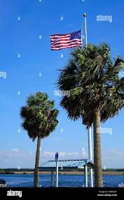 Hernando