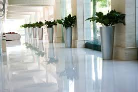 Discounts average $10 off with a beneva flowers promo code or coupon. Commercial Residential Plant Service Installation Sarasota Bradenton Fl