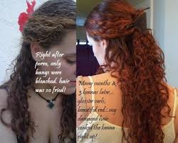 Henna Hair Dye Color Natural And No Chemicals Hubpages