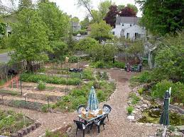 90 Best Backyard Orchard Images On Pinterest Vegetable Garden Vegetable Garden Vegetable Garden Design Backyard Orchard