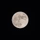 Full Moon Walk at Yankauer Nature Preserve event in Martinsburg, WV