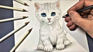 Cute realistic Kitten Drawing [French Tutorial] - YouTube