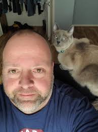 Jokes about cats paying bills