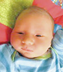 Steuben County births