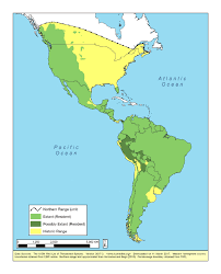 Image result for State Blue 2002 Puma