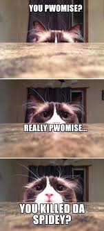 60 New Hot Funniest Cat Memes To Welcome 2020 Funny Cat Memes Funny Cat Jokes Funny Cat Compilation