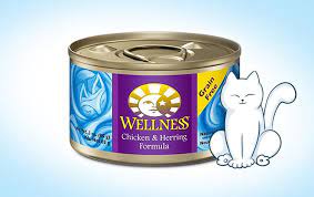 10 Quality Canned Cat Foods Hacks For Cats Canned Cat Food Dog Upset Stomach Animal Nutrition