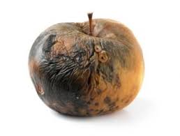 Decay Dictionary Definition Decay Defined Rotten Fruit Growth And Decay Decay