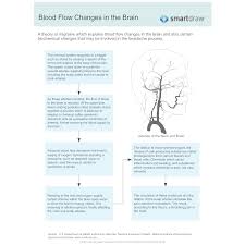 blood flow changes in the brain