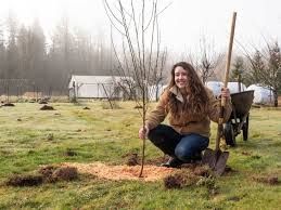 Growth habit and fruit type. When And How To Plant Fruit Trees