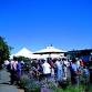 Sequim Lavender Festival & Weekend