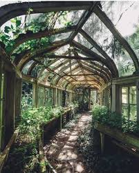 Abandoned Greenhouse Hallway Tag A Friend Who Would Visit Photo Credit Tvelor Amenagement Jardin Jardin D Hiver Jardin Interieur