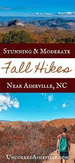 14 Gorgeous Fall Hikes Near Asheville Fall Hiking Mountain Landscape Photography Dupont State Forest