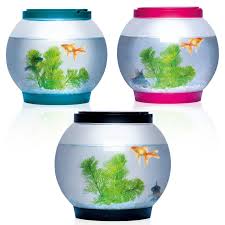 Maybe you would like to learn more about one of these? 5 Litre Glass Fish Bowl Led Light Aquarium Goldfish Betta Tank Accessories New Ebay