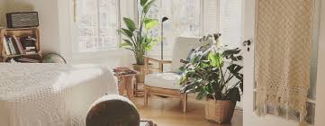 They are just as happy trailing from a hanging basket in the corner as they are stealing the spotlight as a trellised you can leave these baby plants in place or clip them and repot them for gifts or to use other rooms. Plants For Bedroom 30 Best Bedroom Plants For Better Sleep