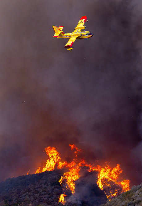 Canadian 'Super Scooper' plane grounded after hitting civilian drone over Los  Angeles wildfires | CNN
