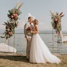 Image result for Protea argyrea