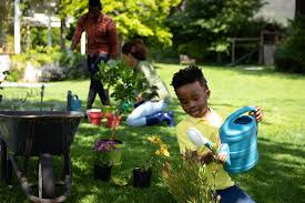 Bowling, exercise classes, gardening, team sports, dancing, and swimming are all activities that can be used to promote good holistic health while having fun. Lacey Parks Recreation Launches Play At Home Page With Hours Of Fun Virtual Activities And Learning Opportunities Thurstontalk