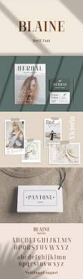 Download Blaine Font By Pasha Larin Creative Fabrica En 2020 SVG Cut Files