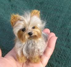 5 out of 5 stars (217) sale price $42.84 $ 42.84 $ 50.40 original price $50.40 (15% off) free shipping favorite add to. The Best Custom Gifts That Look Like Your Pet From Necklaces To Socks