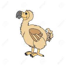 Featuring over 42,000,000 stock photos, vector clip art images, clipart. Vector Scandi Cartoon Animal Clip Art Dodo Bird Royalty Free Cliparts Vectors And Stock Illustration Image 123989312