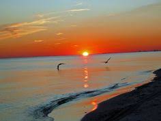 97 best love my mississippi images mississippi mississippi delta ocean springs pinterest