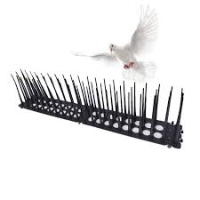 Anti Pigeon Spike Scare Seagull Away Plastic Bird Spikes Cat Repellent For Anti Pigeon Pest Control Spikes Anti Bird Repellents Aliexpress