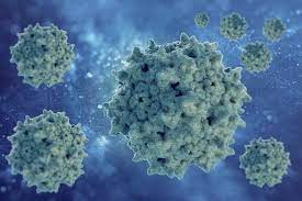 Thus, the decision to start treatment should be based on careful patient selection and individualiz … Hepatitis B Virus 2020 Ubertragung Symptome Behandlung Hygiene In Practice